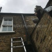 Photo 5 of 9