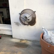 Photo 9 of 9