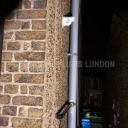 Photo 3 of 4
