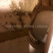 Photo 5 of 7