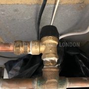 Photo 5 of 6