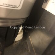 Photo 1 of 1