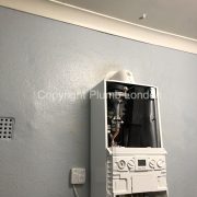 Photo 5 of 7