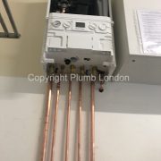 Photo 5 of 6