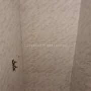 Photo 5 of 9