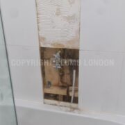 Photo 6 of 8