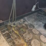 Photo 5 of 9