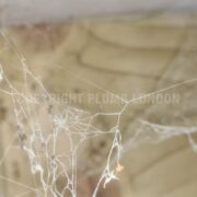 Photo 7 of 9