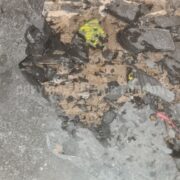 Photo 8 of 9