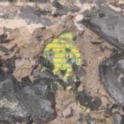 Photo 9 of 9