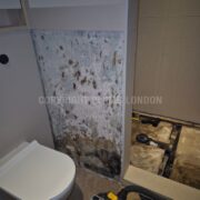 Photo 7 of 9