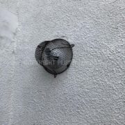 Photo 8 of 9