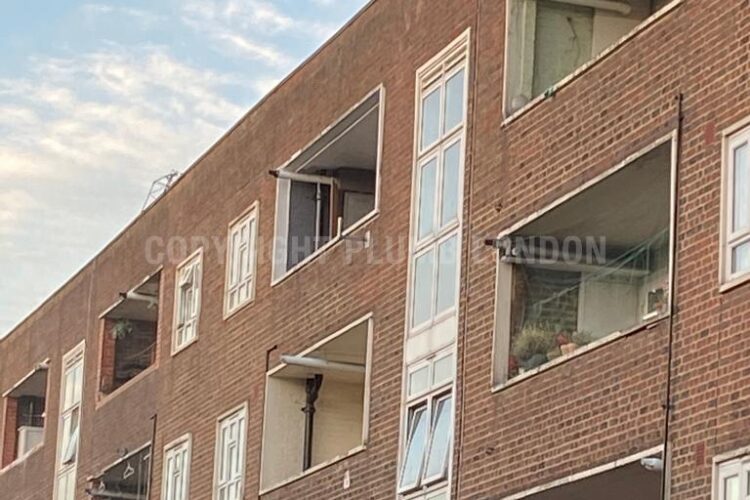 First Image