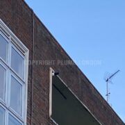 Photo 9 of 9