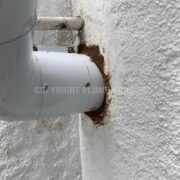 Photo 8 of 9