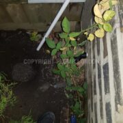 Photo 2 of 9