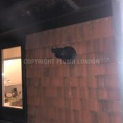 Photo 5 of 7
