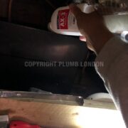 Photo 9 of 9