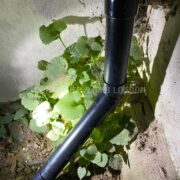 Photo 7 of 8