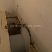 Photo 2 of 8