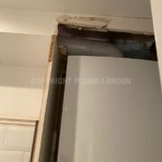 Photo 4 of 5