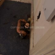 Photo 6 of 9