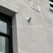 Photo 5 of 7
