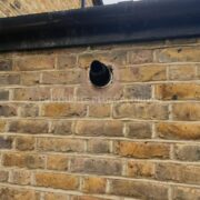 Photo 2 of 8