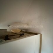 Photo 1 of 7
