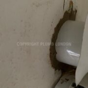 Photo 8 of 9