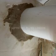 Photo 9 of 9