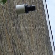 Photo 8 of 9