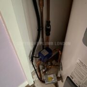 Photo 7 of 8
