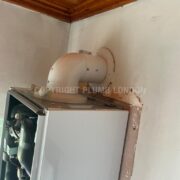 Photo 2 of 9