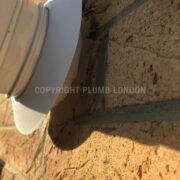 Photo 9 of 9